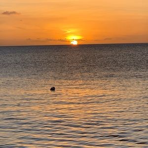 Meet your Posher, Ingrid